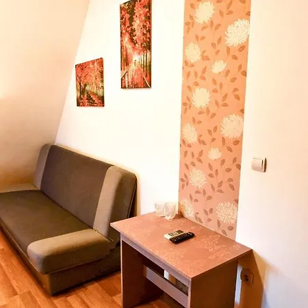 Pensiunea Silva I 3* Haţeg