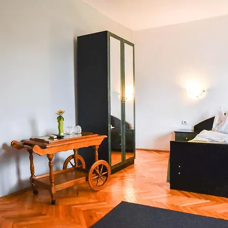 Pensiunea Silva I Guest house