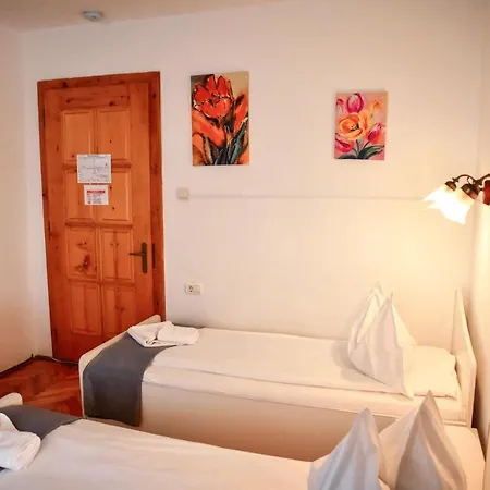 Pensiunea Silva I 3*