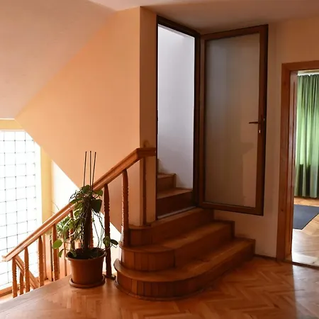 Pensiunea Silva I Guest house