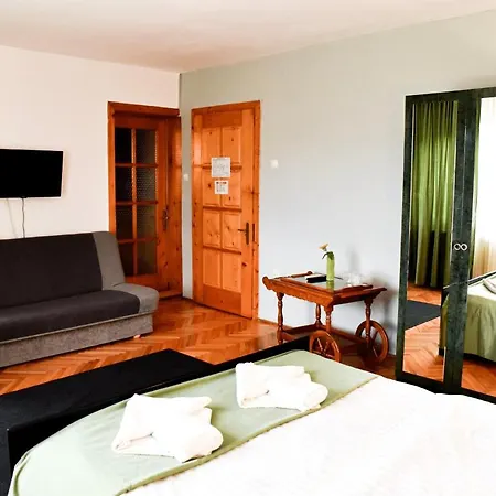 Pensiunea Silva I Guest house 3*