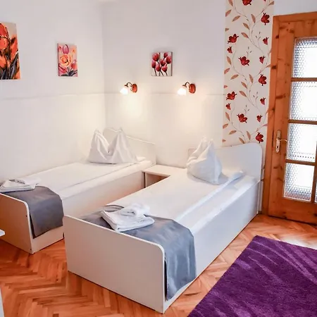 Pensiunea Silva I Guest house
