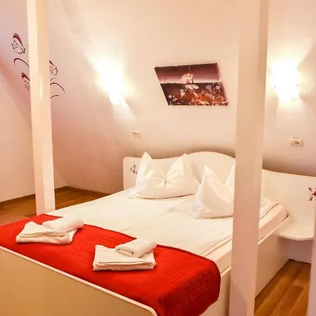 Pensiunea Silva I Guest house