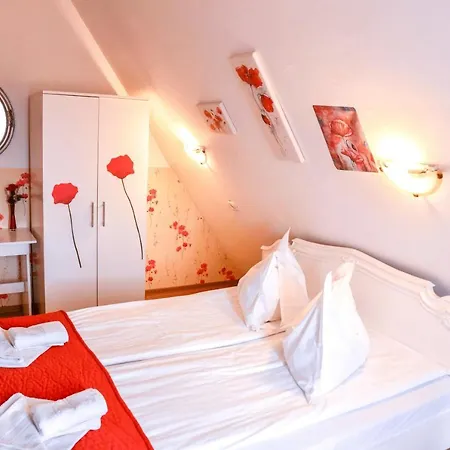 Guest house Pensiunea Silva I Hateg