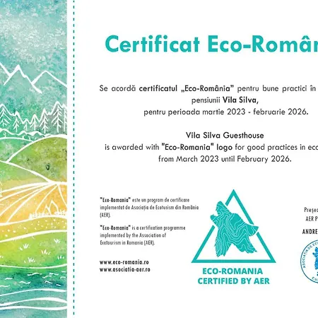 Affittacamere Pensiunea Silva I 3*