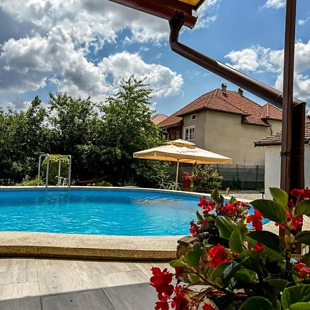 Pensiunea Silva I 3* Haţeg