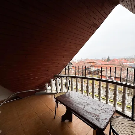 Guest house Pensiunea Silva I 3*